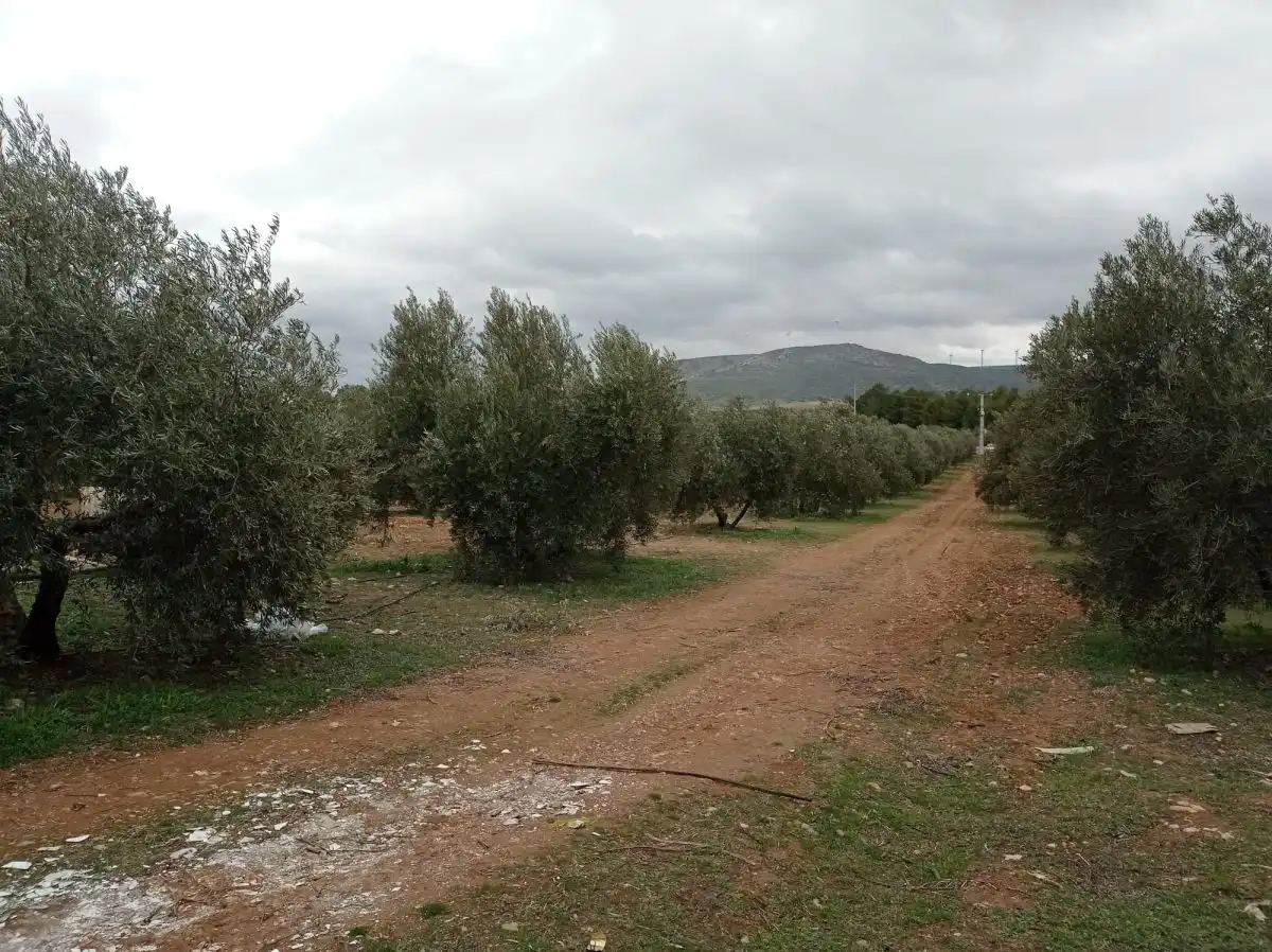 Casa rústica amb piscina en venda a Valdepeñas, imagen 2