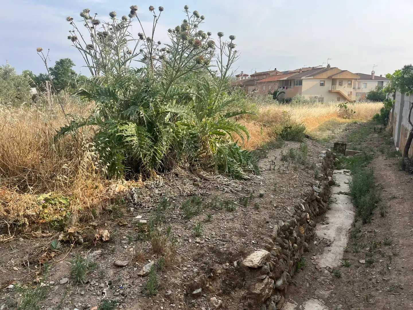 Rural land for sale in Calle Verano, imagen 4