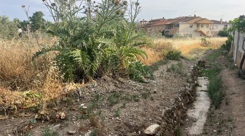 FINCA RUSTICA EN DURCAL, immagine 4