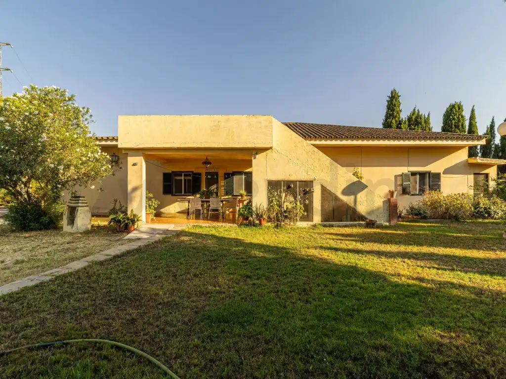 Vista exterior de Casa o chalet en venta en Jerez de la Frontera