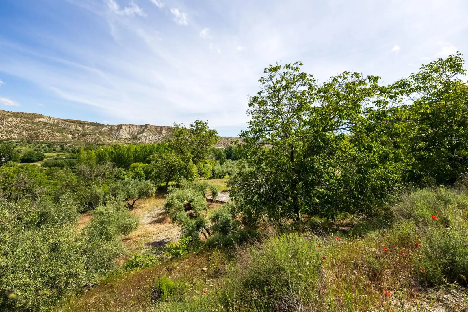 Detached house for sale in Lugar FUENTE BLANCA 7PF2, imagen 42
