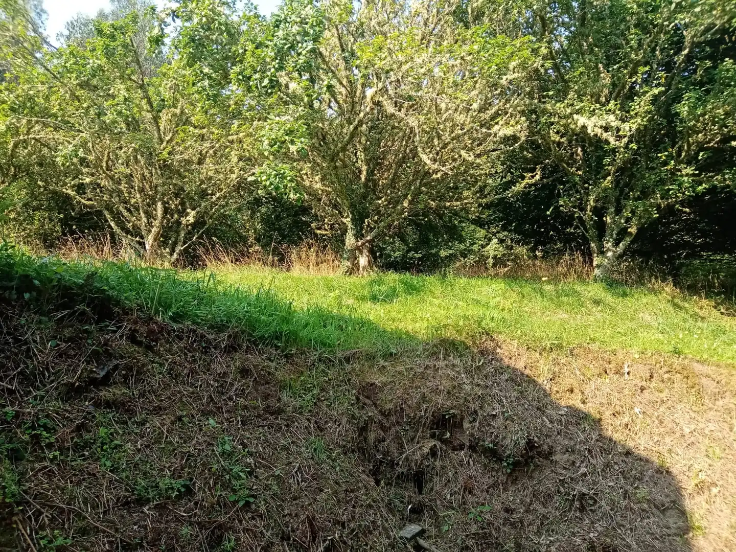Haus mit Garten zum Verkauf in Ourol, imagen 2