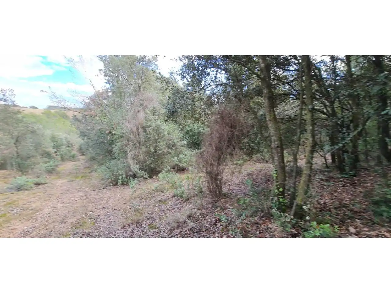 Rural land for sale in Lliçà d'Amunt, imagen 15