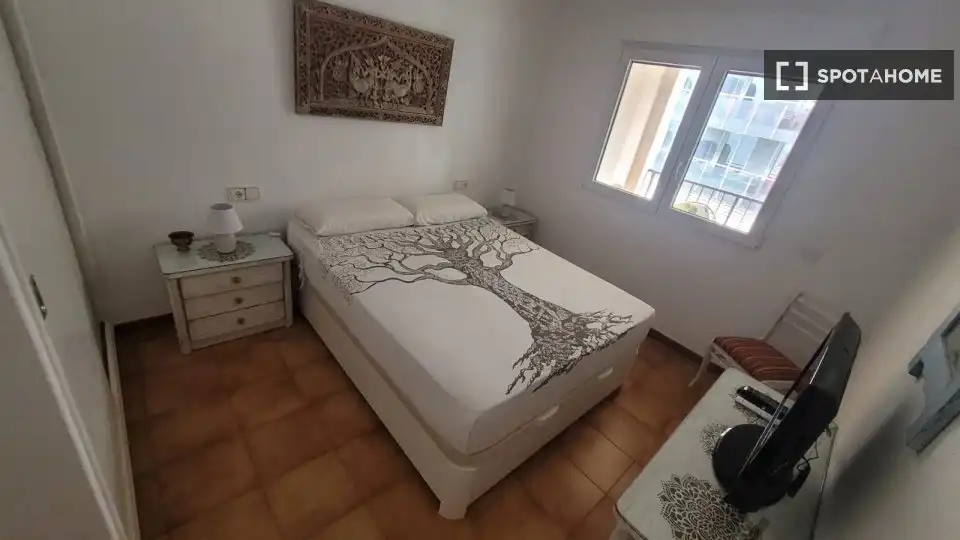 Room in Zona Pueblo