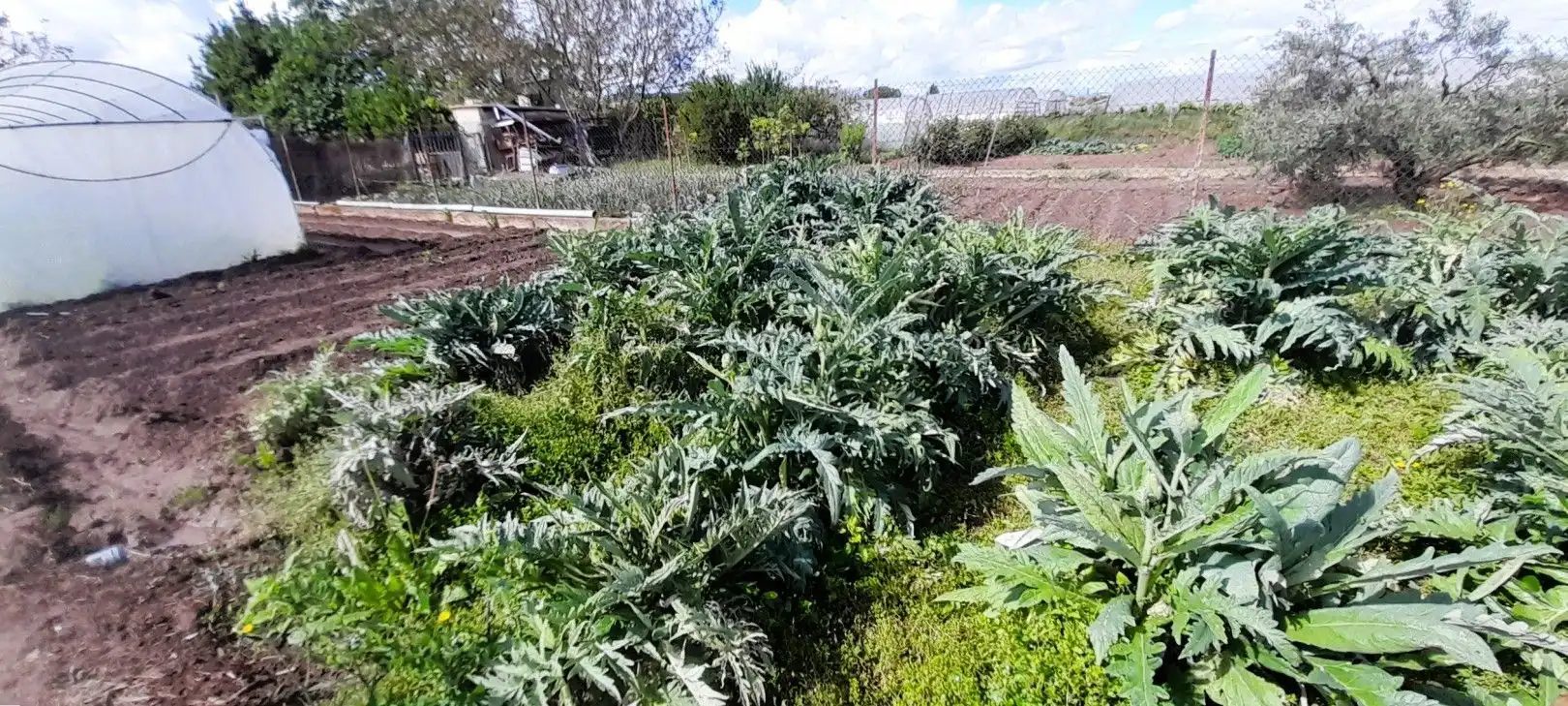 Terreni e lotti in vendita a La Portalada - Varea, imagen 14