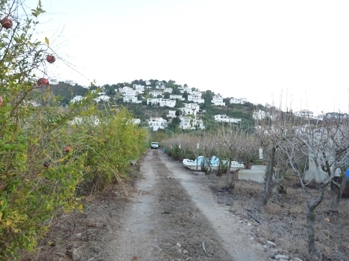 Rural land for sale in Pego, imagen 16