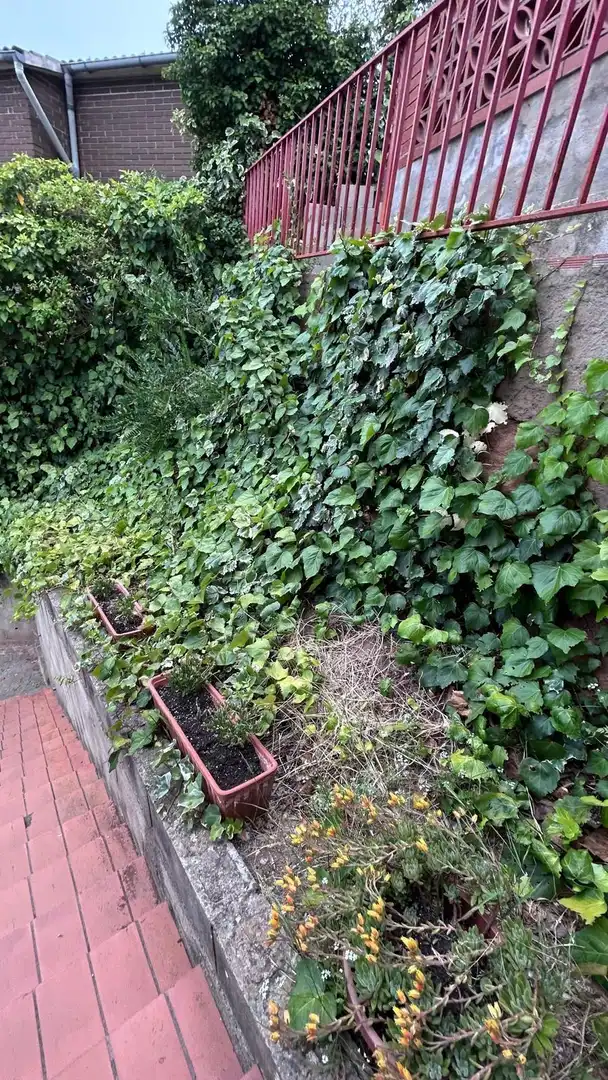 Casa con jardín en venta en Vacarisses, imagen 22