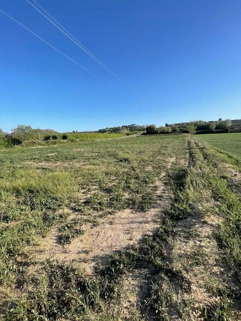 Terreno en venta en Puiggròs
