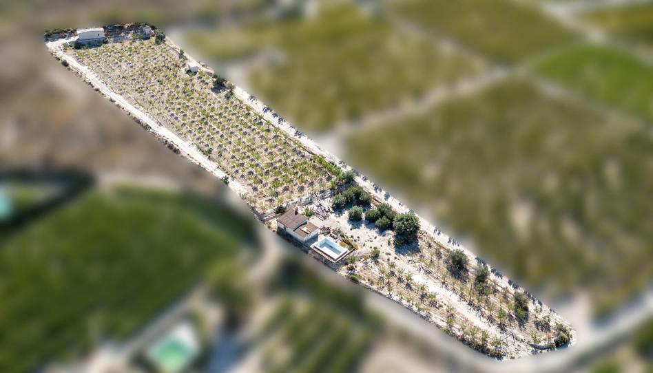 Foto 1 de Finca rústica en venta en Cieza, Murcia