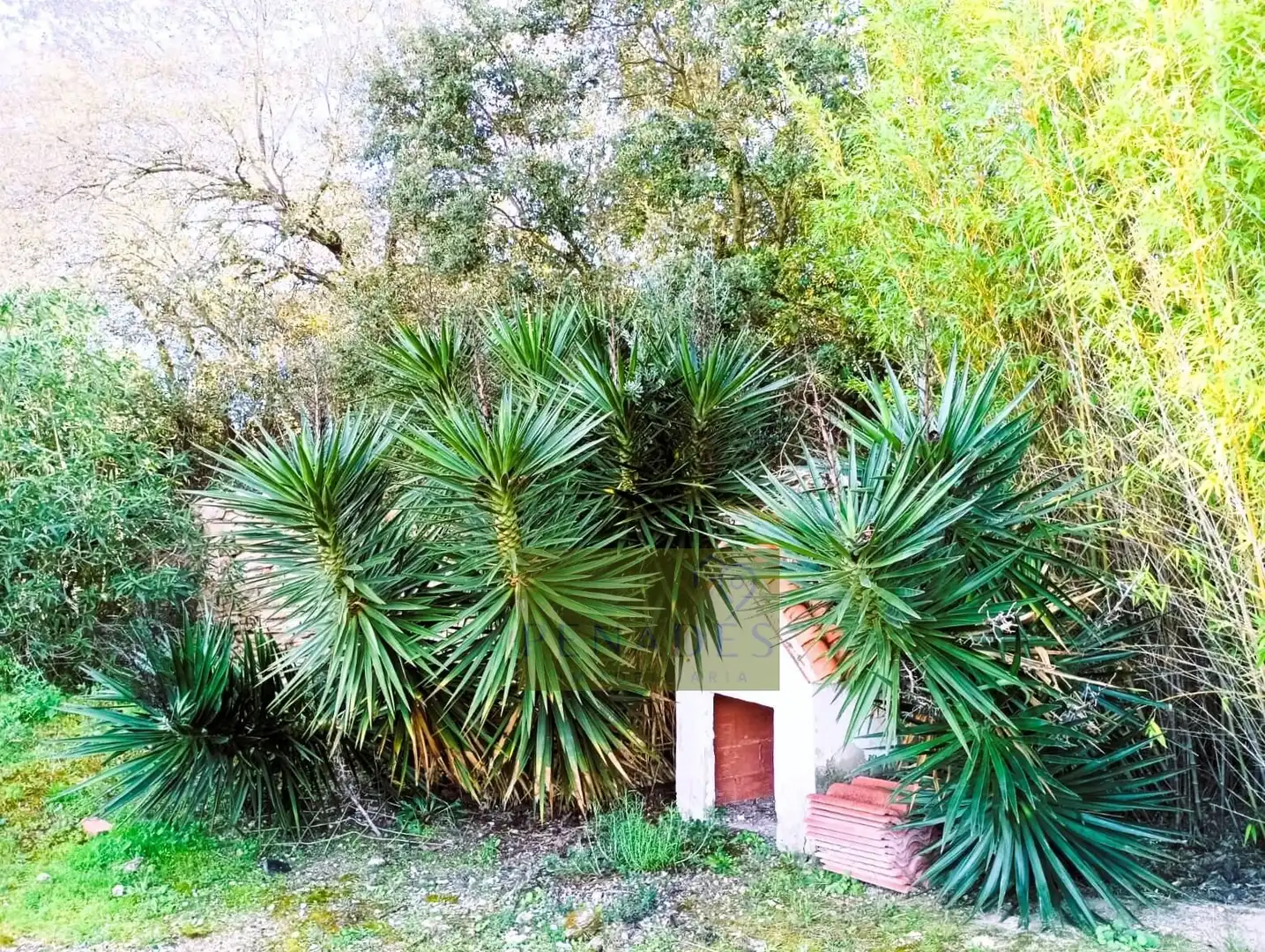 Detached house with pool for sale in El Llombo, imagen 4