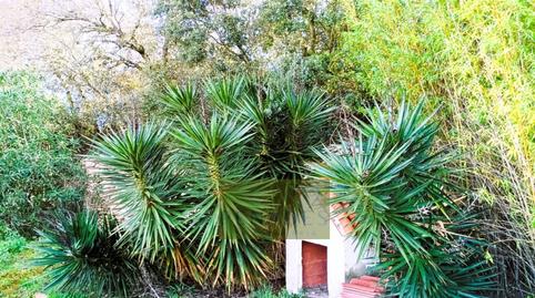 Foto 4 de Casa o chalet en venta en El Llombo, Ontinyent