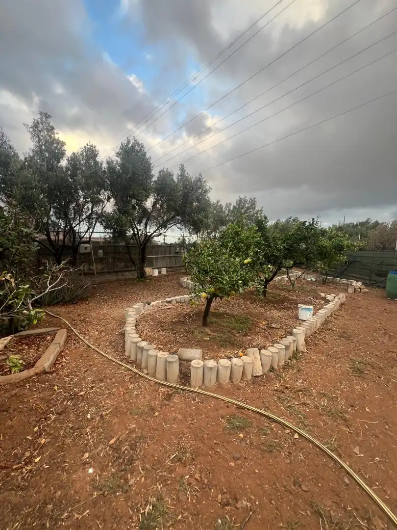 Rural land for sale in Ingenio pueblo, imagen 49