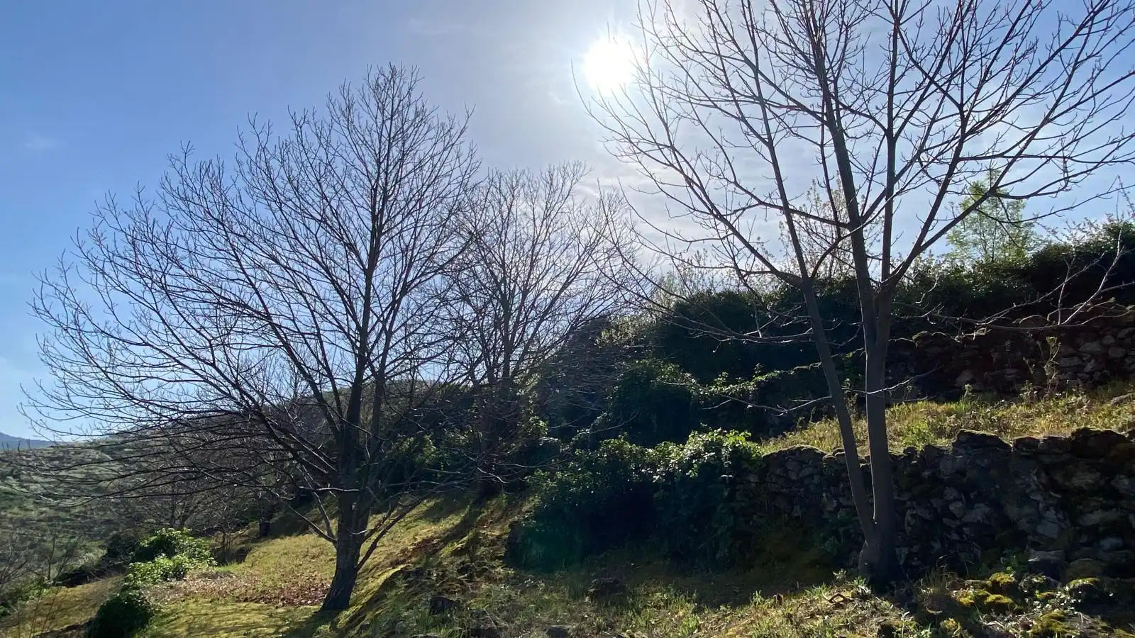 Terreni e lotti in vendita a Casas del Castañar, imagen 18