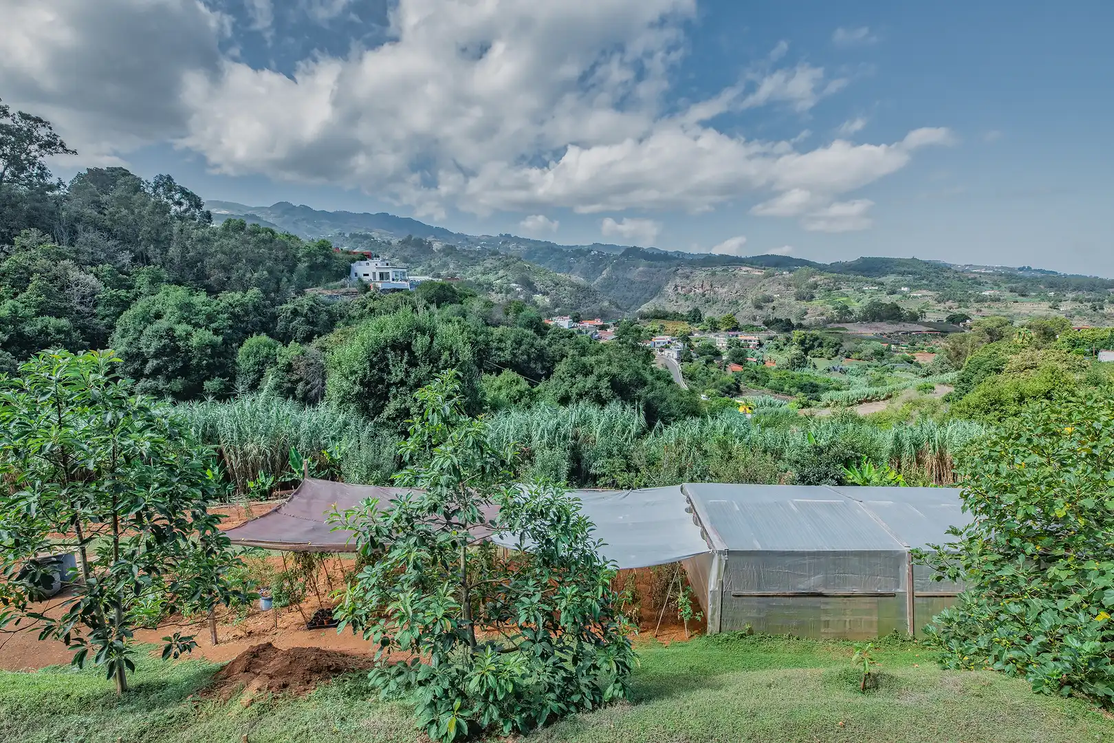 Detached house with terrace for sale in Calle la Palmita, imagen 36