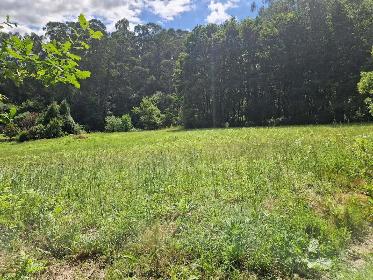 Lands and plots for sale in Brión, imagen 3