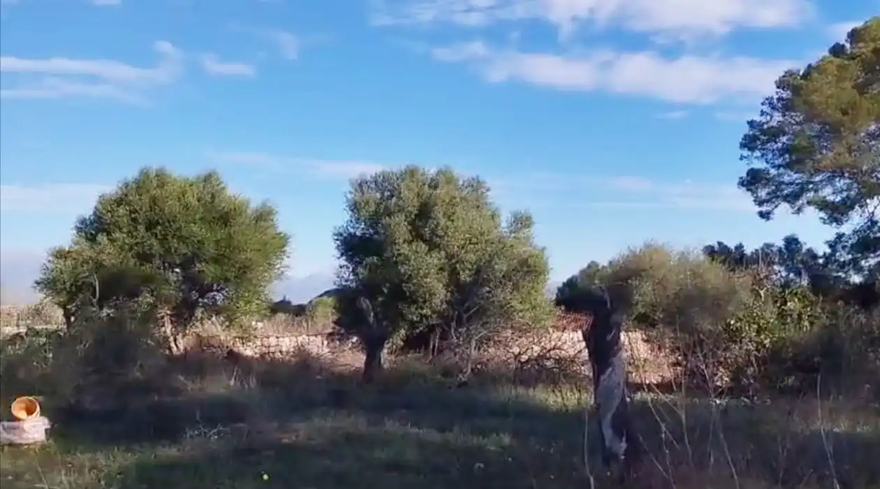 Terreno rustico in vendita a 0, imagen 4
