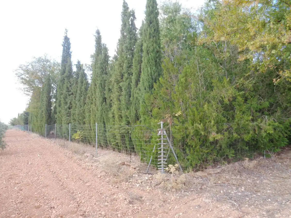 Finca rústica en venda en Santa Cruz de Mudela