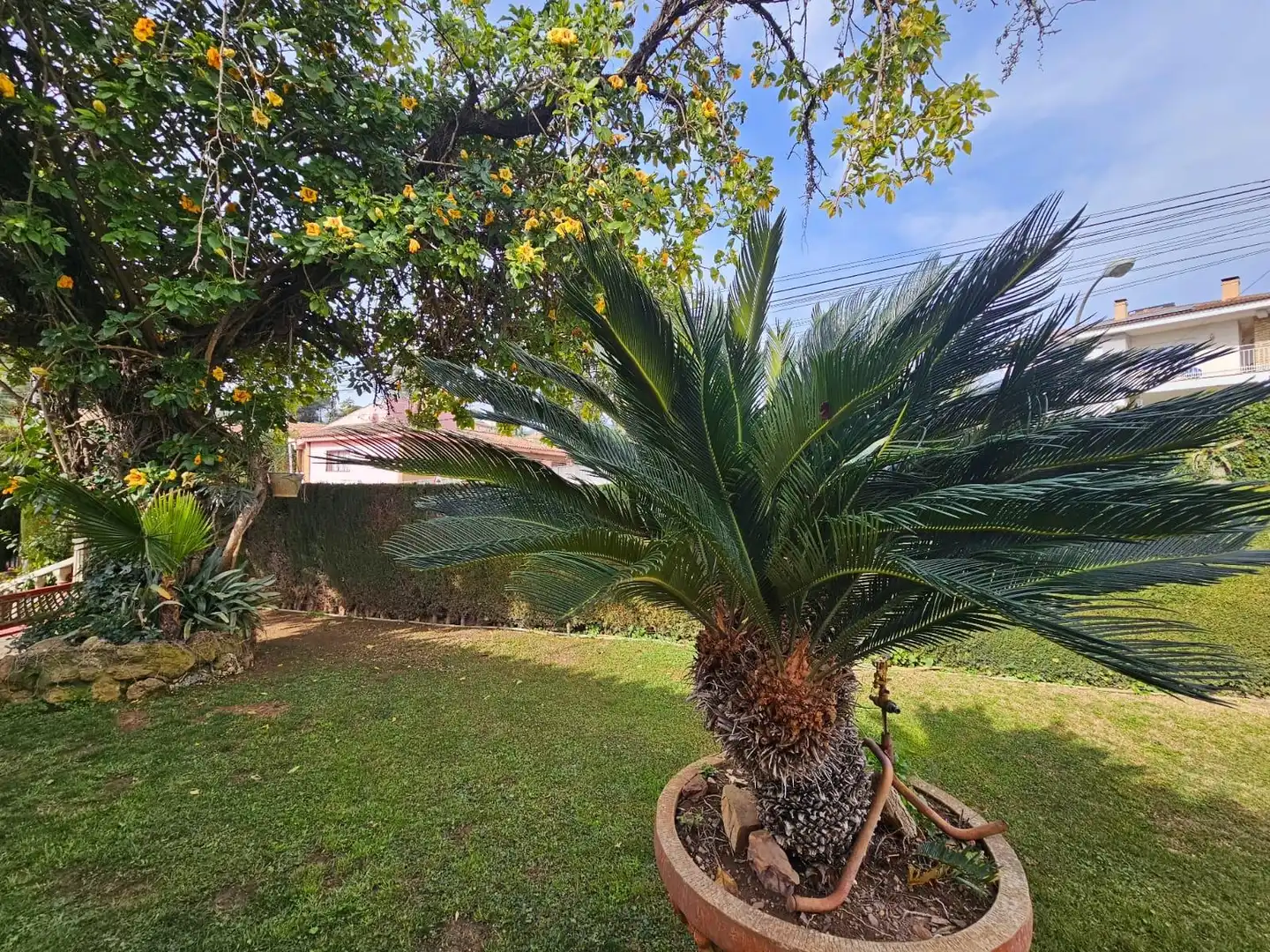 Chalet con piscina en venta en PLATERO HEREDIA, imagen 8