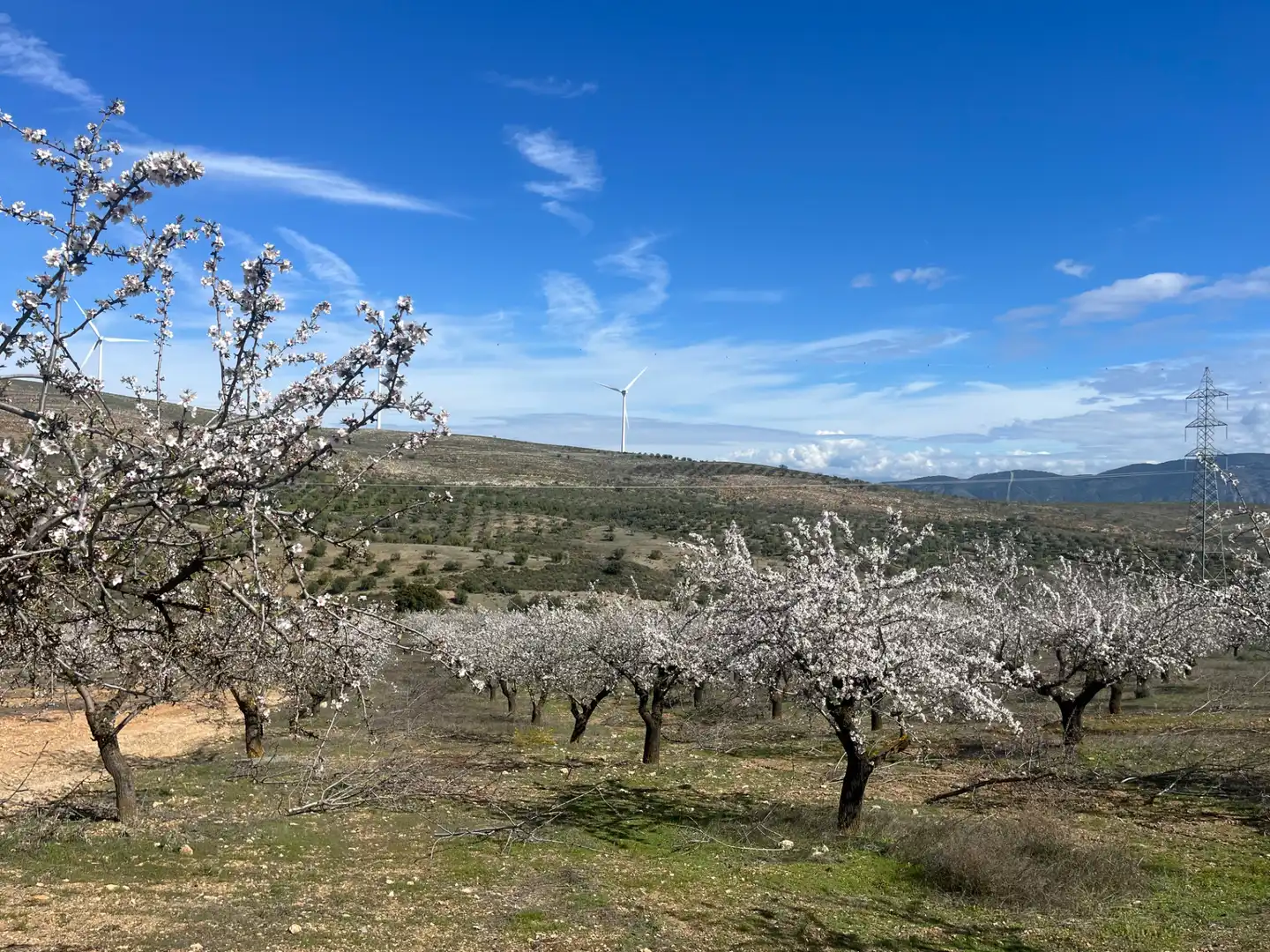 Rustikales Grundstück zum Verkauf in Camino de la Sierra, imagen 2