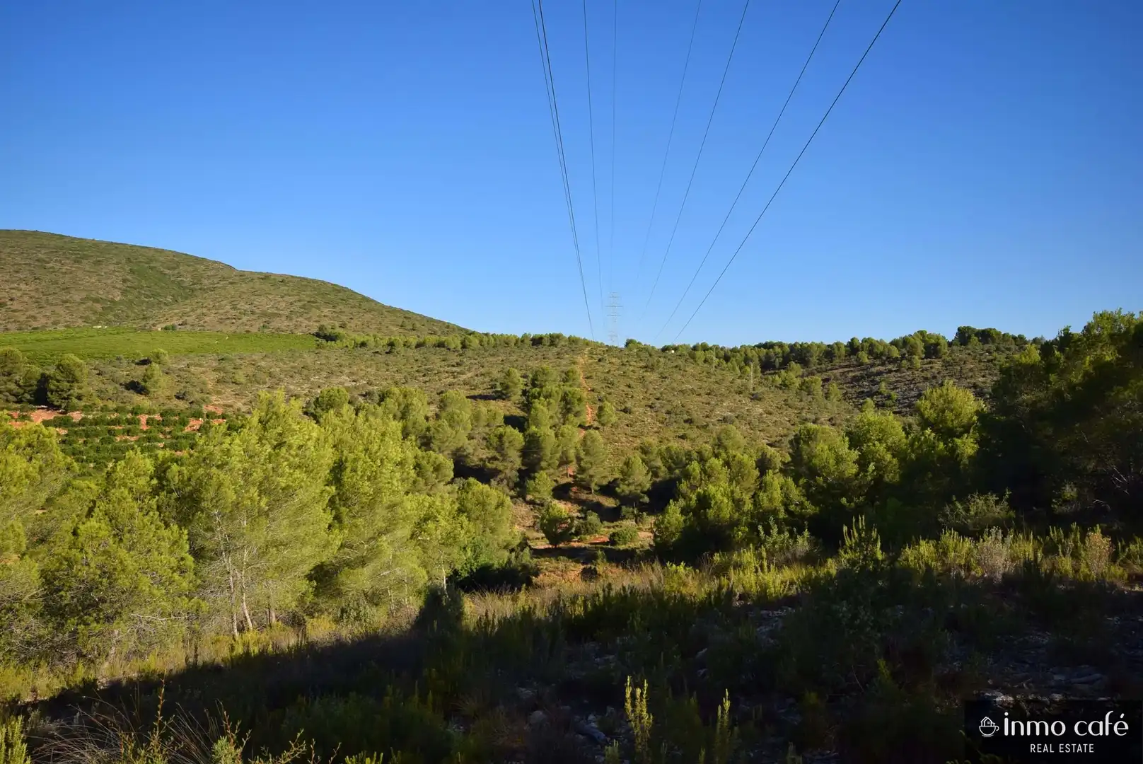 Terreny rústic en venda a L'Alcúdia de Crespins, imagen 15