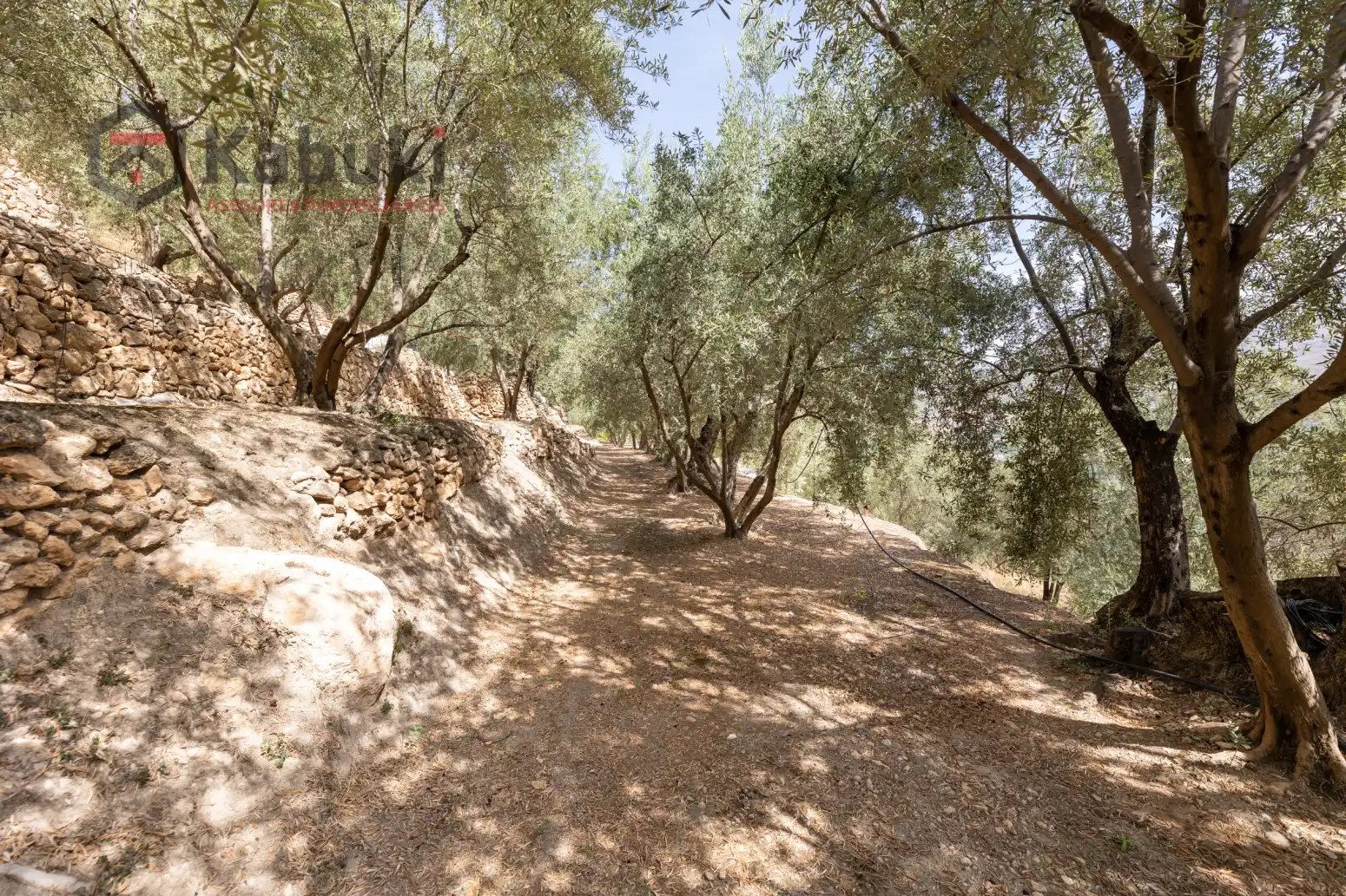 Terreno rustico in vendita a Pinar El - Pantano de Beznar, imagen 3