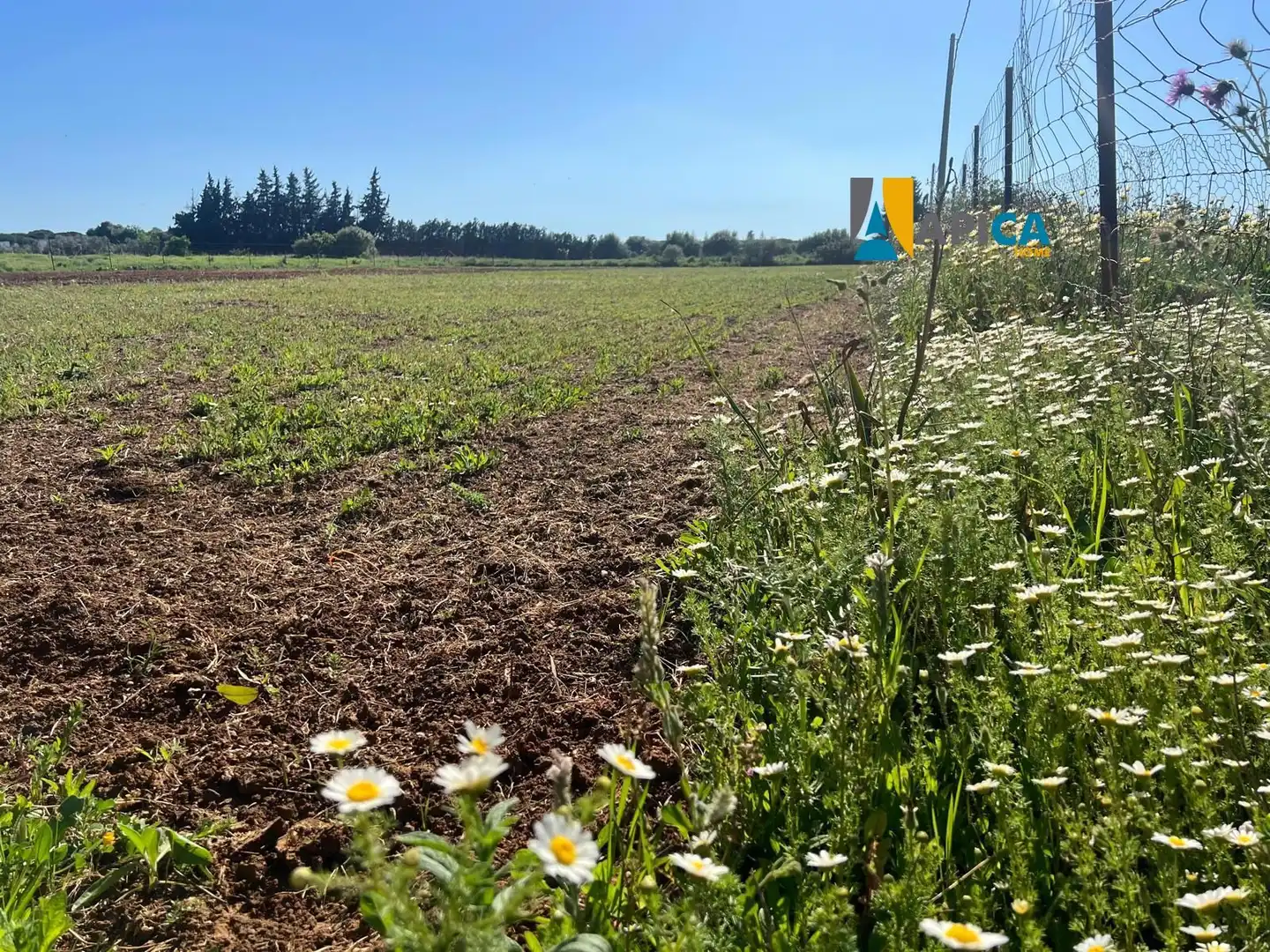 Terreno en venta en Conil de la Frontera