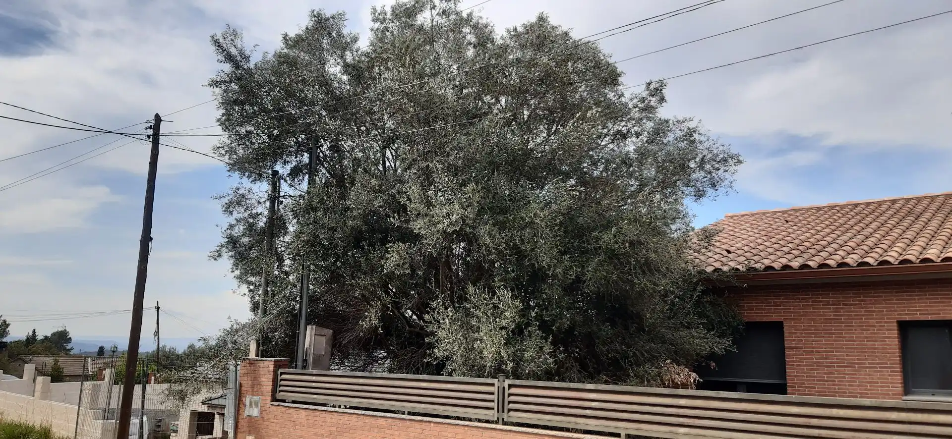 Vista exterior de Casa o xalet en venda en Vacarisses amb Jardí privat, Terrassa i Piscina