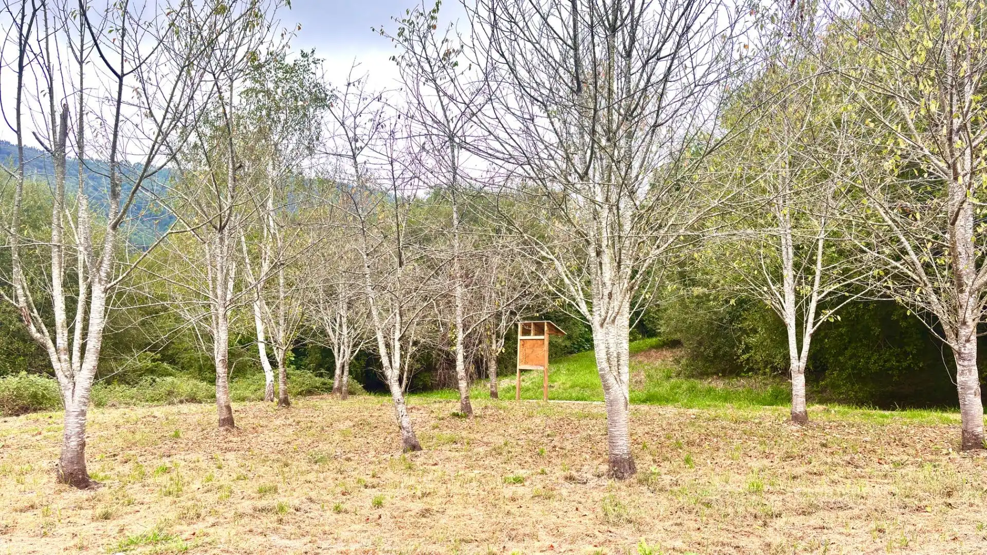 Casa o xalet en venda en Mungia amb Aire condicionat, Calefacció i Jardí privat