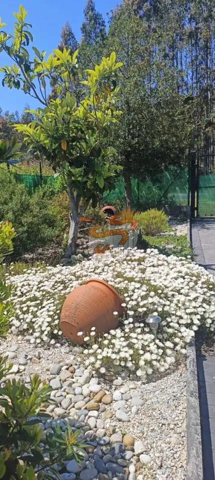 Terreni e lotti in vendita a San Sadurniño, imagen 19