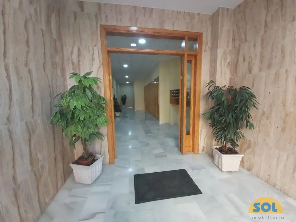 Appartamento con terrazza in vendita a Avenida Alonso Martín, imagen 15
