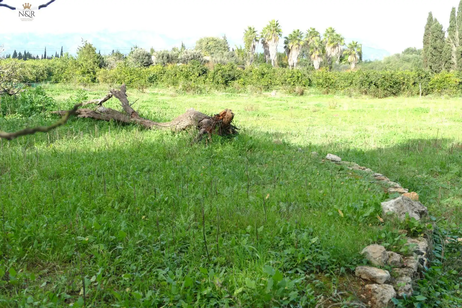 Finca rústica en venta en Llubí