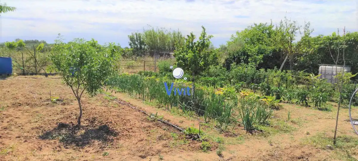 Terrenos y solares en venta en Pedanías Sur, imagen 7