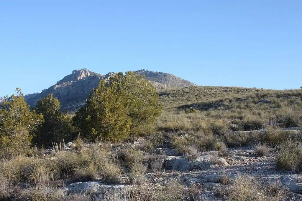 Terreny rústic en venda a FUENTE PEÑA Parc. 536, imagen 3