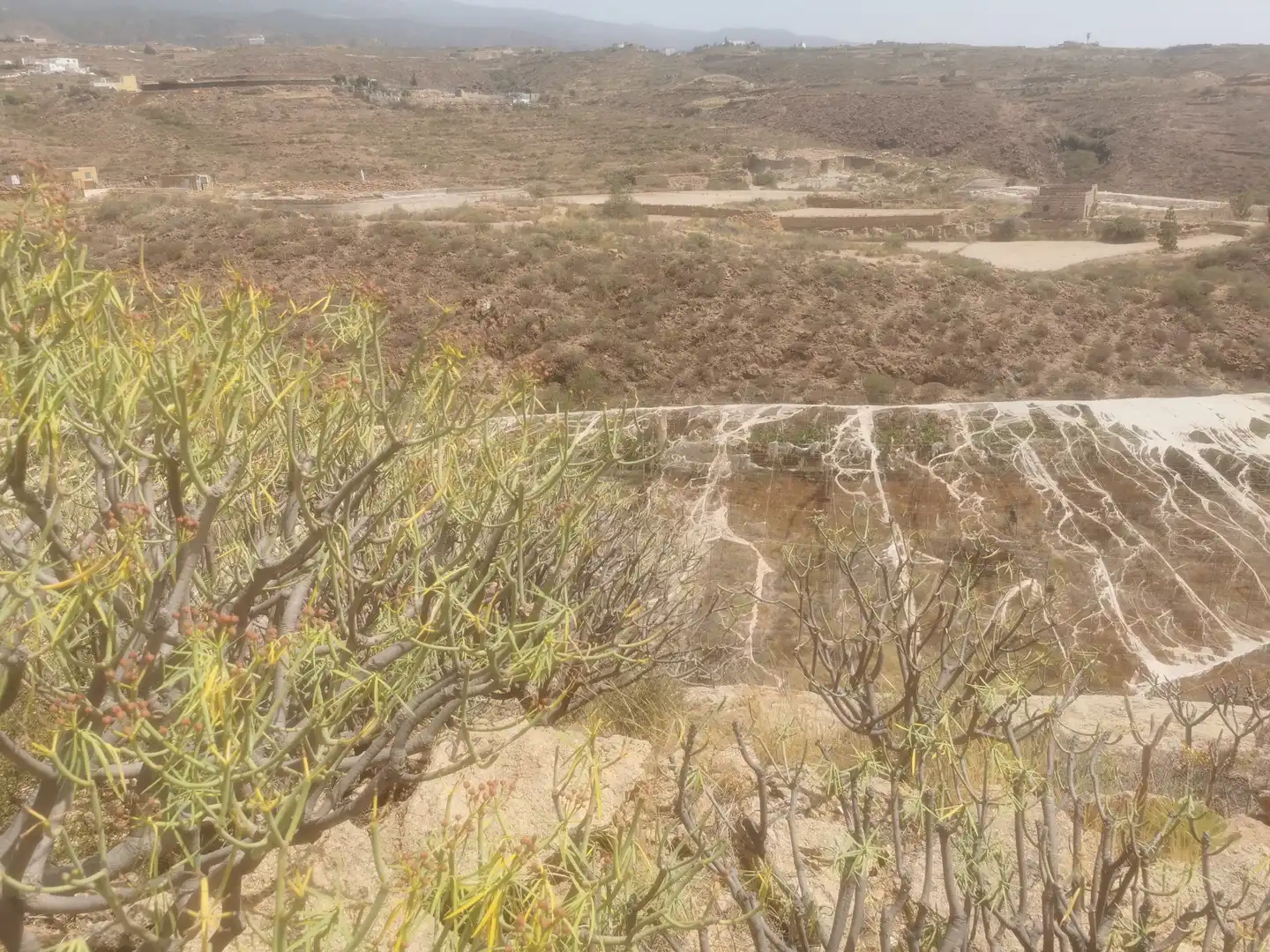 Terreny en venda en Granadilla de Abona