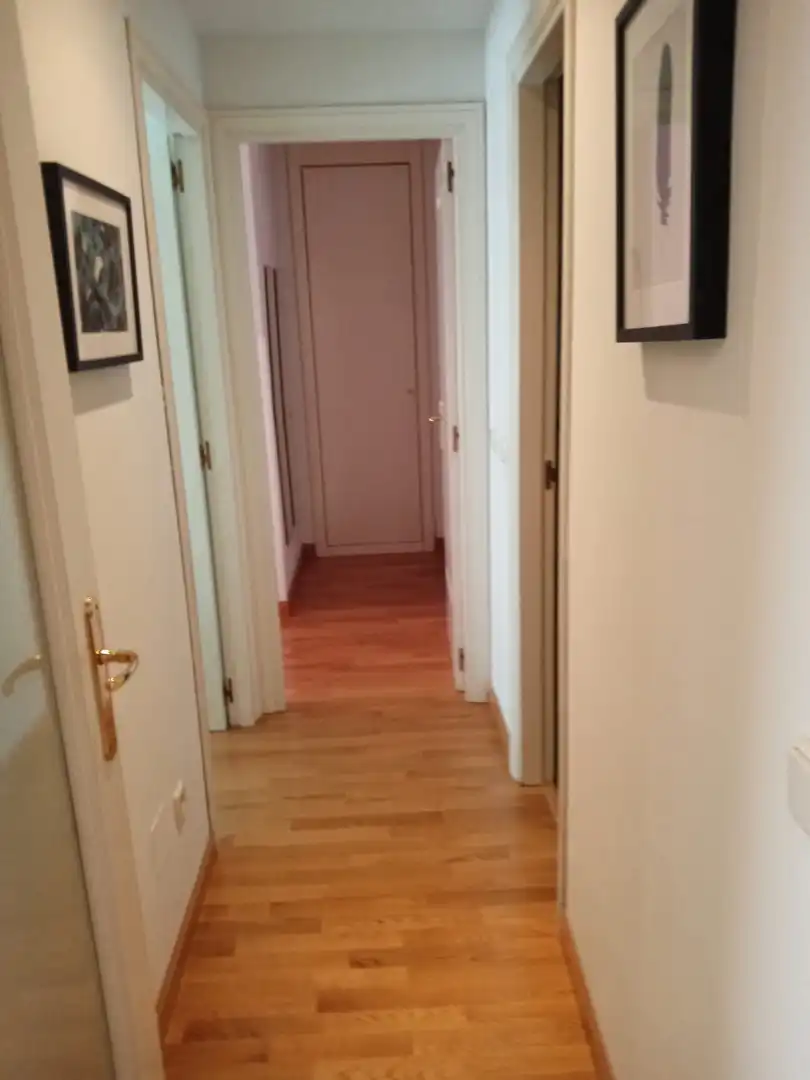 Flat with pool to rent in Calle de la Ribera de Curtidores, imagen 10
