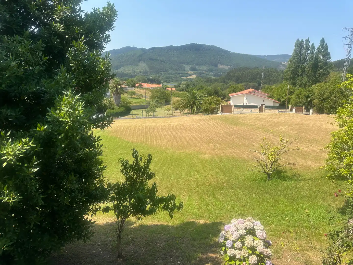 House with garden for sale in Avenida del Campo, imagen 3