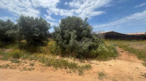 Photo 3 of Residential for sale in El Palmar, Vejer de la Frontera