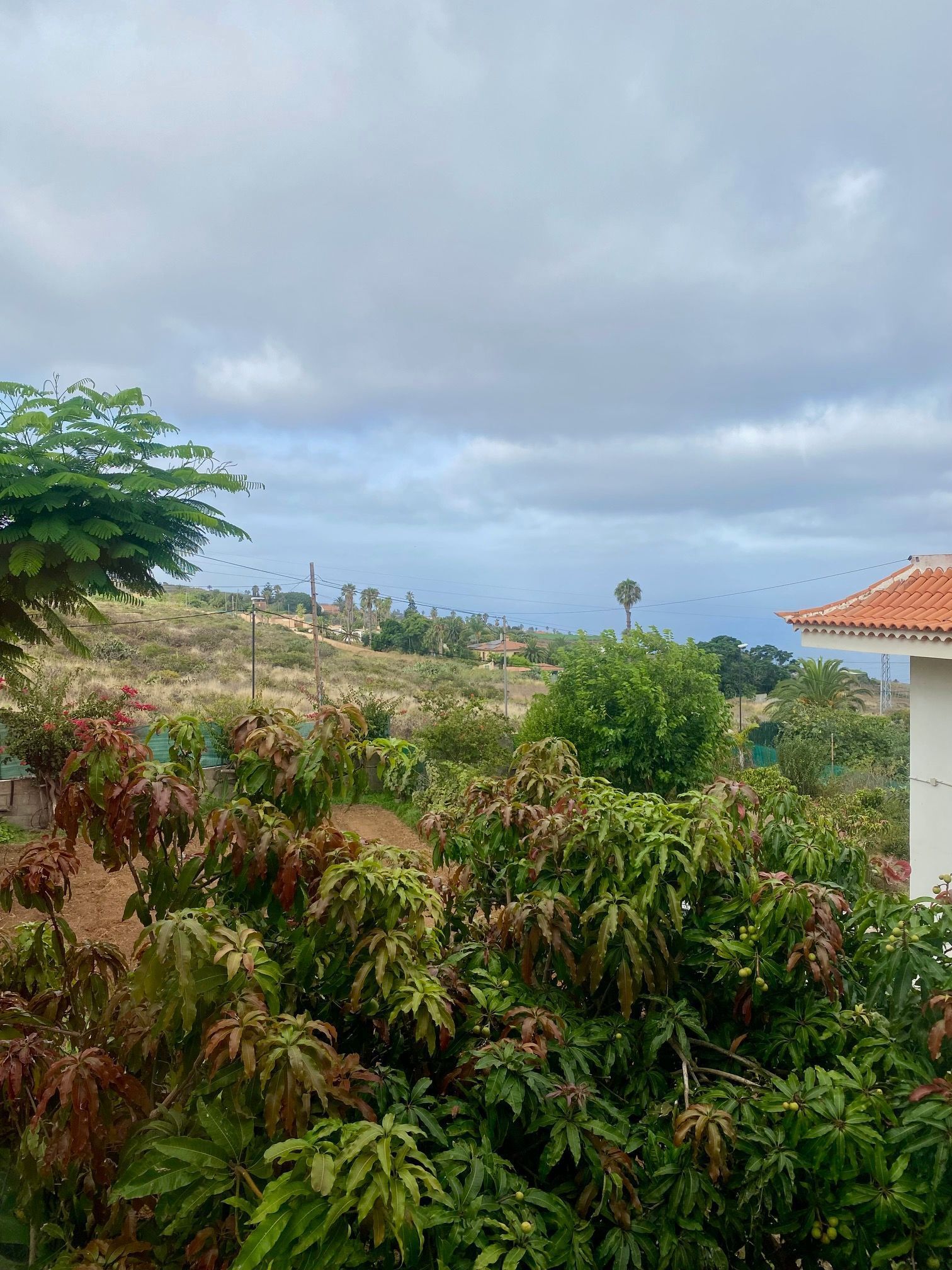 Finca rústica en venta en TAGORO, El Pris - Juan Fernández, Tacoronte