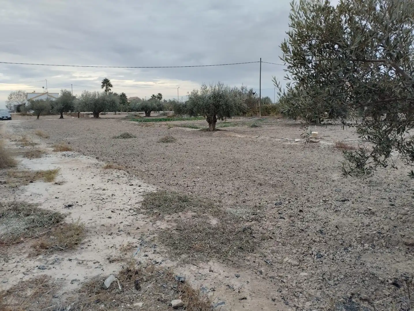 Land for sale in Lorca