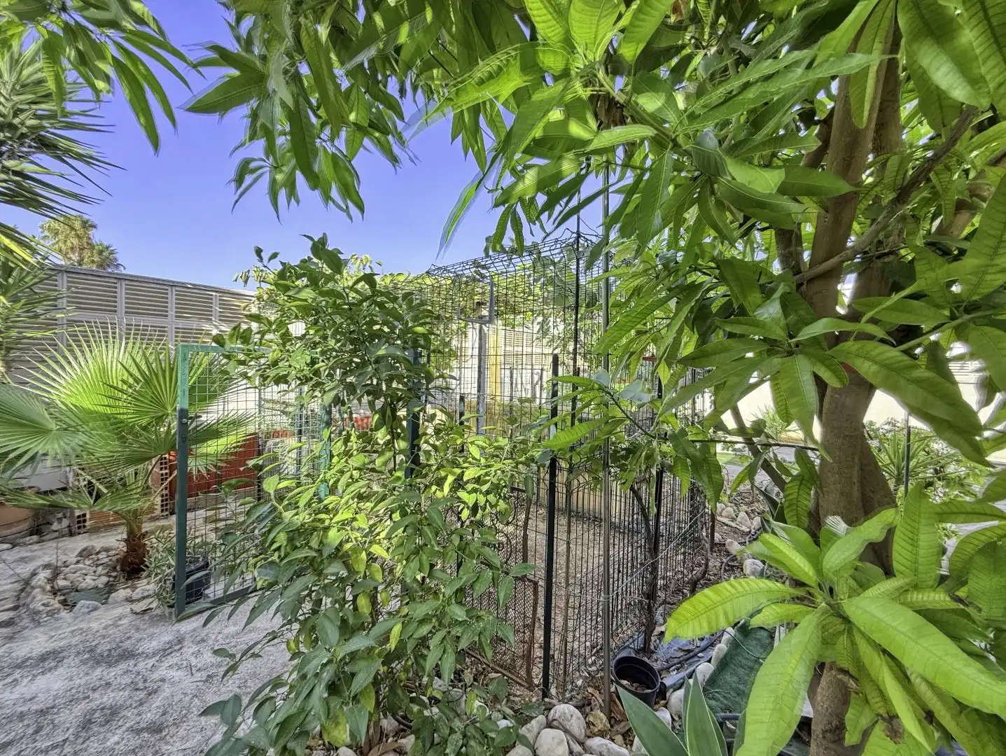 Garden of Houses for sale in Els Poblets  with Air Conditioner, Heating and Terrace