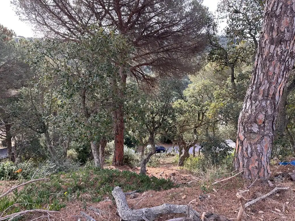 Terreno residencial en venta en Serra Brava, imagen 5