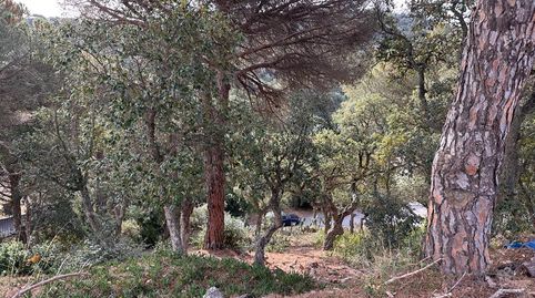 Terreno Edificable en Venta en Urb. La Riviera, Lloret de Mar, imagen 5