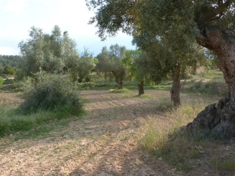 Country homes for sale in Valjunquera