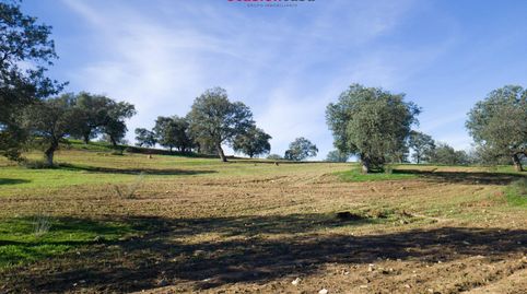 FINCA RÚSTICA EN PEDROCHE, imagen 5