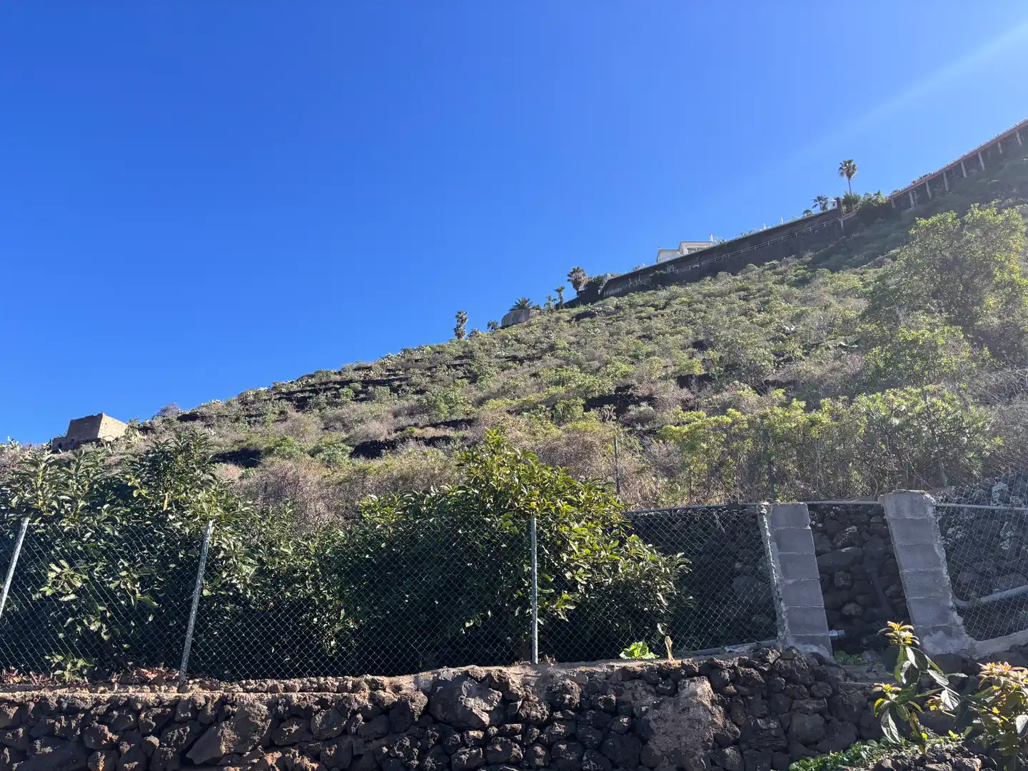 Terreno rustico in vendita a Camino de San Diego, imagen 7