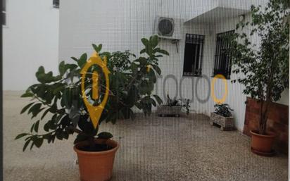 Exterior view of Flat for sale in Lebrija  with Terrace