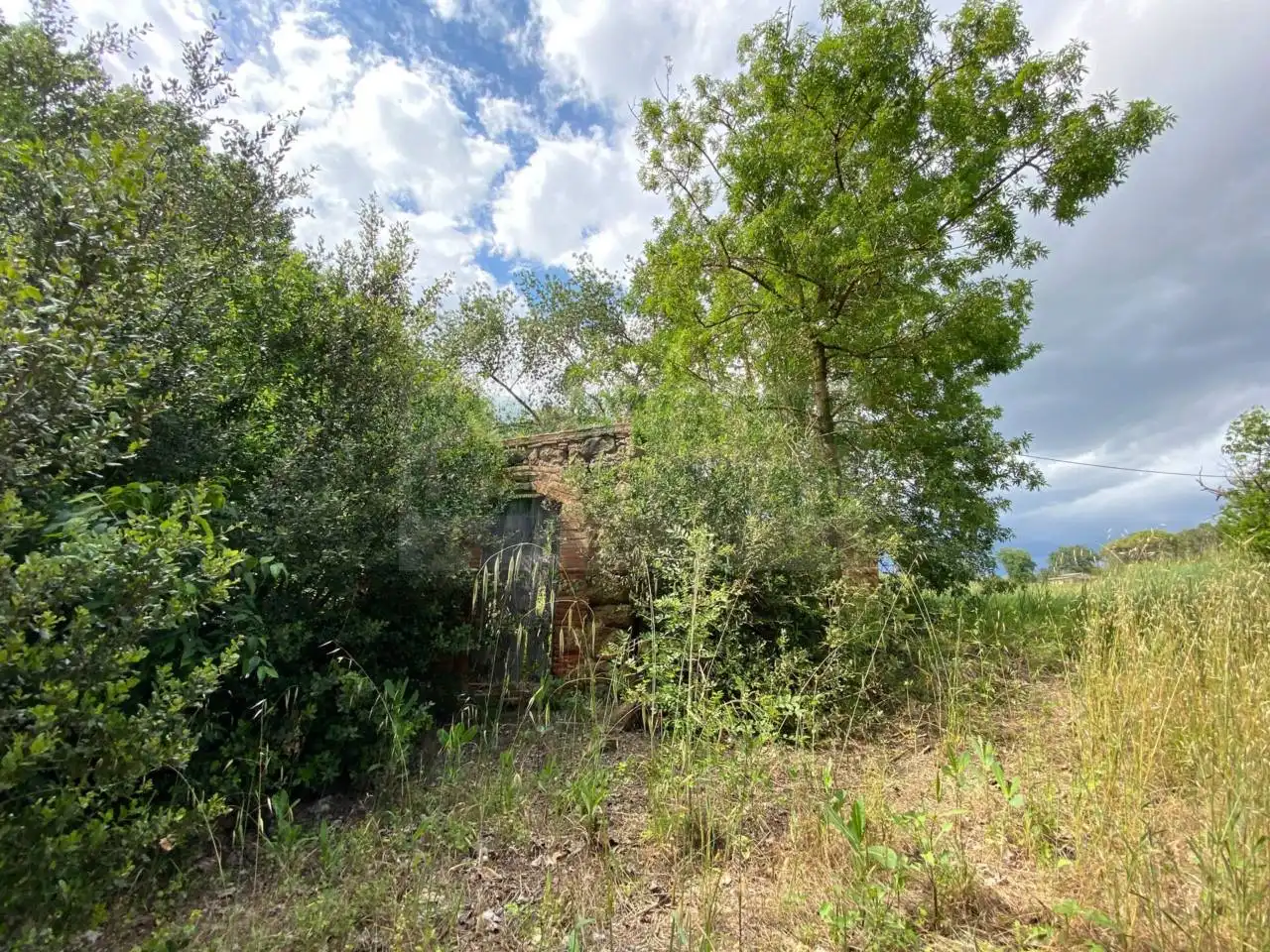 Finca rústica en venta en La Pera