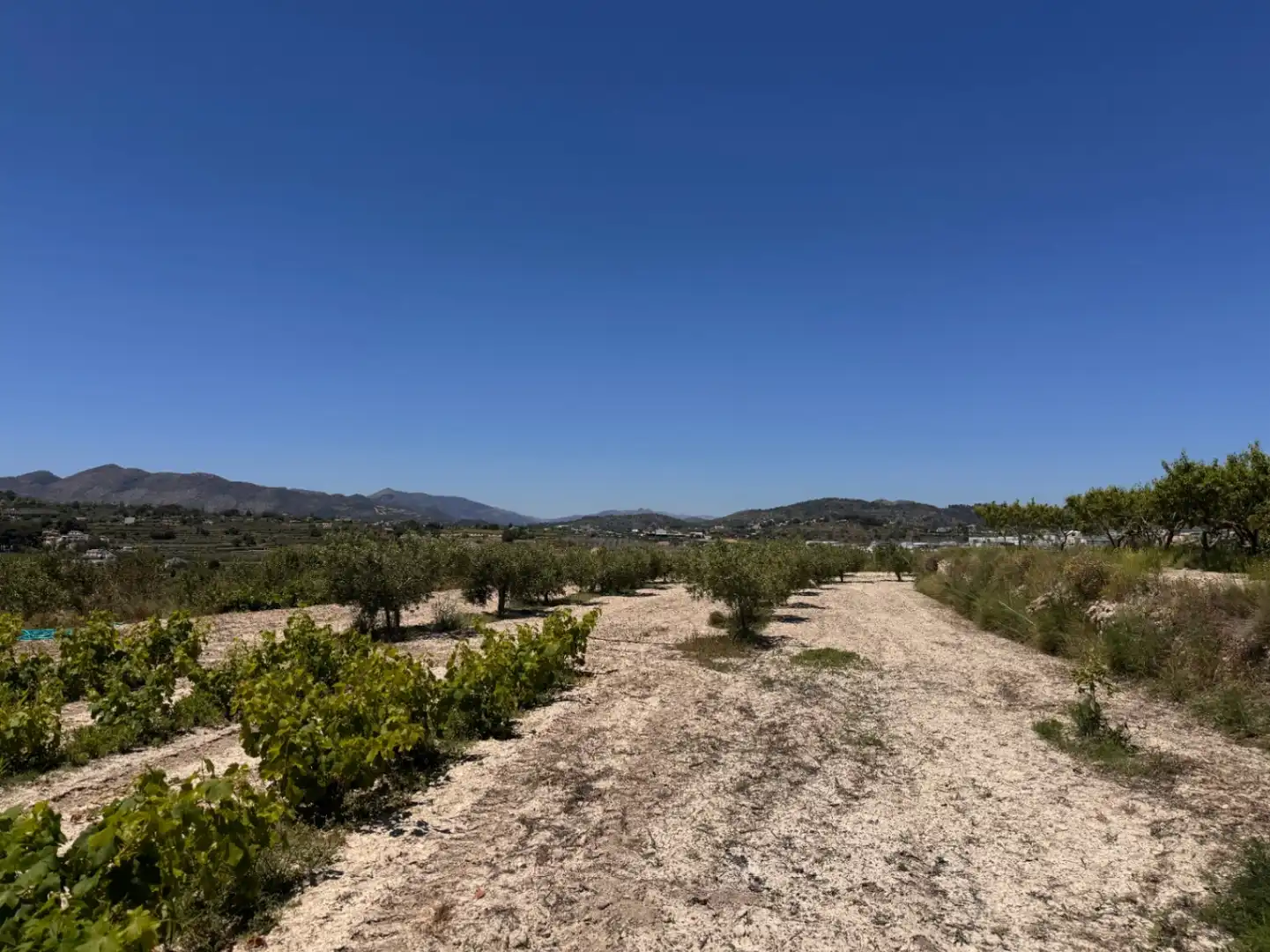 Finca rústica en venta en Benissa con Aire acondicionado, Calefacción y Jardín privado