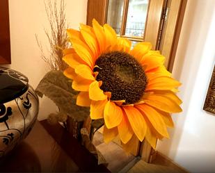 Garden of Flat for sale in Málaga Capital  with Terrace, Furnished and Balcony