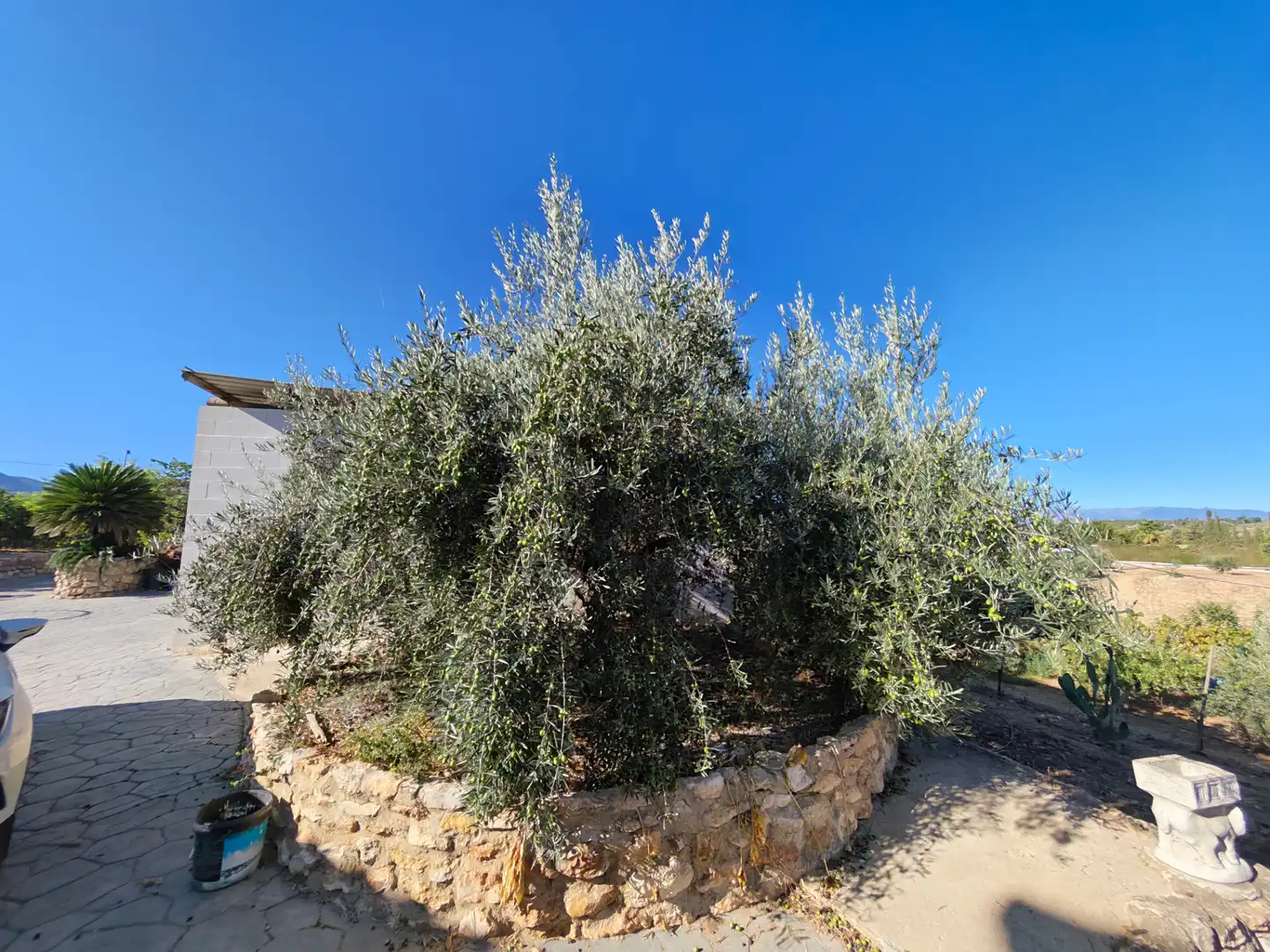 Casa rústica amb jardí en venda a Alquería - Torrealquería, imagen 33